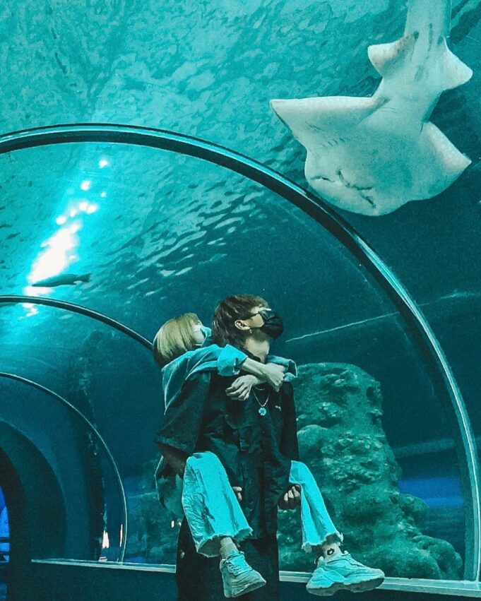 澎湖旅遊,澎湖景點,澎湖一日遊,澎湖水族館