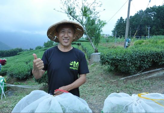 茗園茶葉民宿