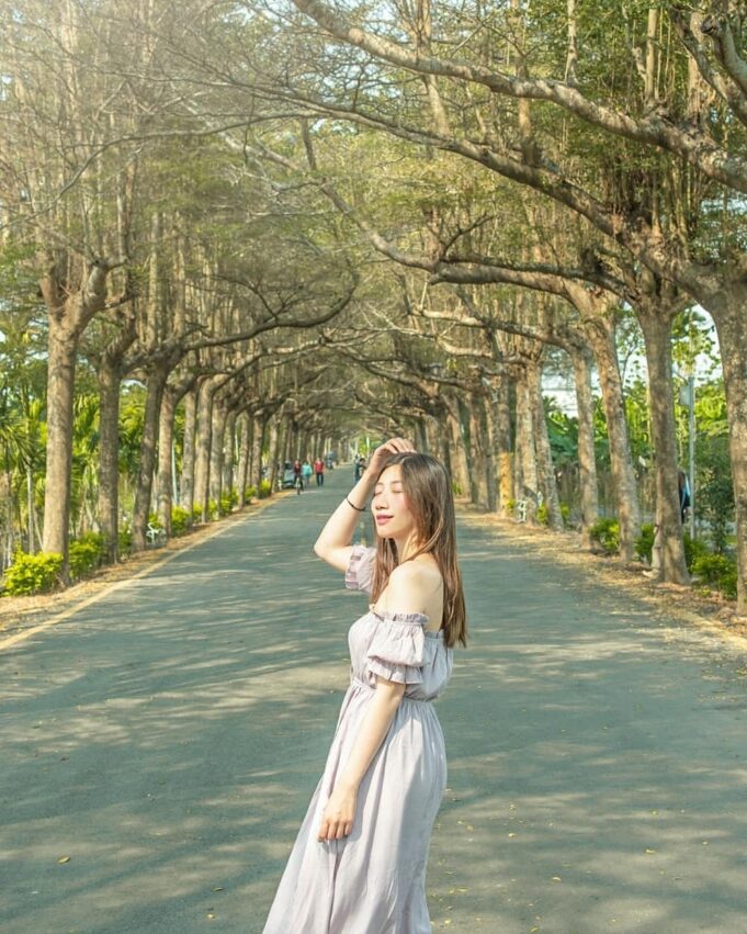 泗林林蔭大道走完全程大約需要40分鐘,雖然有許多人會來這裡健行、運動,不過路旁並沒有規畫人行道,要注意來車。 潮州綠色隧道