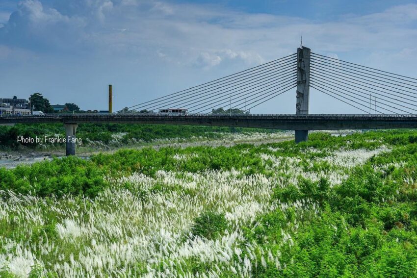 2023秋季限定【芒草季節】精選全台11個芒草季必拍景點，銀色海浪夢幻登場！