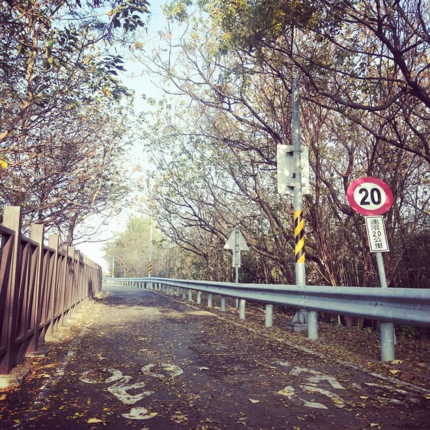 單車路線精選｜全台10條單車自行車道，挑一條路線放進你的秋遊懶人包！ 8 2024