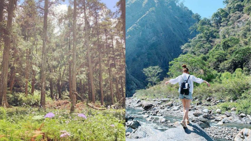 南投景點 惠蓀實驗林場|親子旅遊享受森林浴的時光,步道路線推薦|惠蓀林場一日遊行程、門票、住宿 2025 惠蓀實驗林場|親子旅遊享受森林浴的時光,步道路線推薦|惠蓀林場一日遊行程、門票、住宿