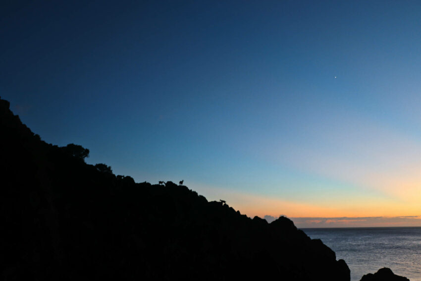 【蘭嶼景點推薦】 虎頭坡夕陽