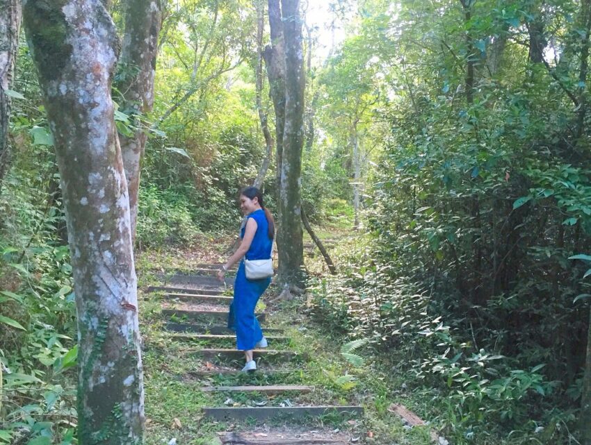 位於蘇澳的朝陽國家步道,離 南澳景點 都很近,全長約2.2公里,步道有三個出入口,90分鐘就能走完全程。 南澳景點 朝陽國家步道