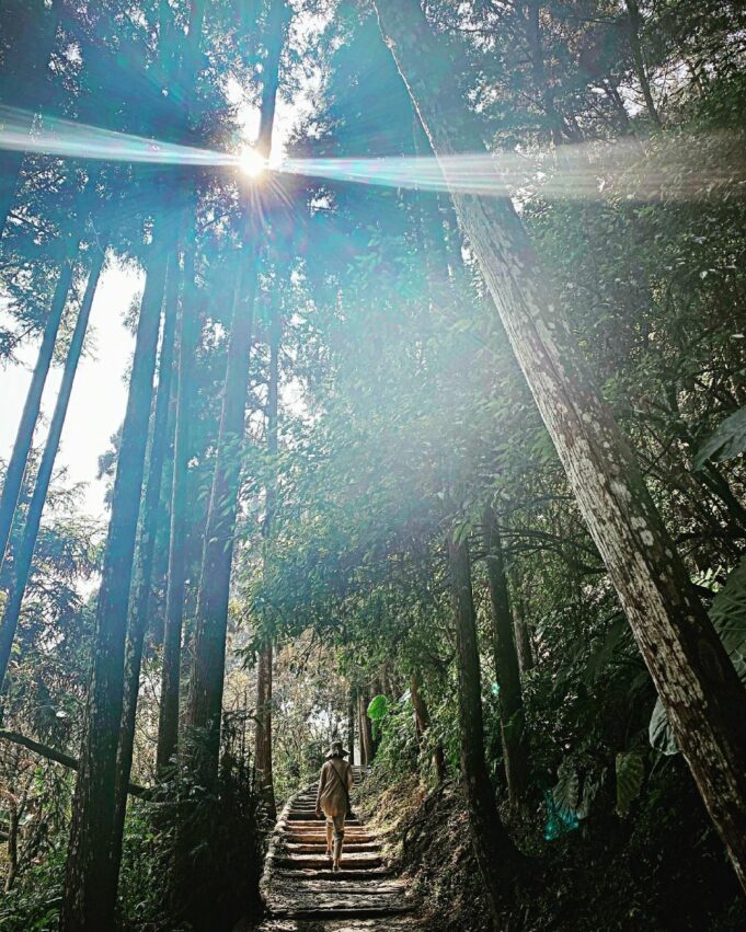 溪頭自然教育園區