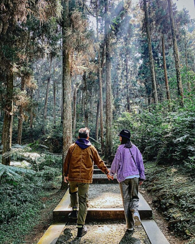 溪頭自然教育園區