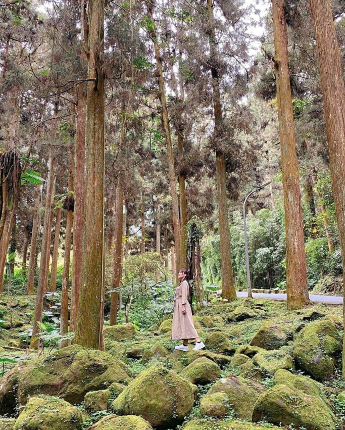 溪頭自然教育園區