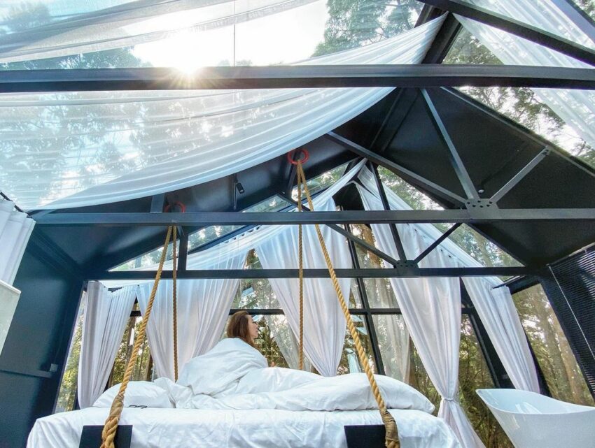 瘋之谷 cuckoozen forest