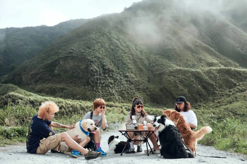太白山礦場號稱是懶人版抹茶山,附近的景觀很像抹茶山。 南澳景點 白米林道