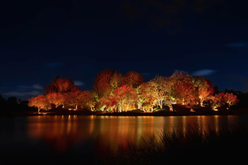 ▸高雄景點, ▸旅遊情報, ▸聖誕、跨年、春節, 活動 2021 燈會, 2022 台灣燈會, 2022 燈會, 2022 臺灣燈會, 2022台灣燈會, 2022燈會, 2022燈會主辦, 2022臺灣燈會, 2022虎年, 2022虎年吉祥話, 2022高雄燈會, taiwan lantern festival 2022, 主燈, 元宵, 元宵節, 台北燈節, 台灣 花燈, 台灣燈會, 台灣燈會 2022, 台灣燈會 主燈, 台灣燈會 英文, 台灣燈會2022, 台灣燈會主燈, 台灣燈會主燈主燈, 台灣燈會在高雄, 台灣燈會地點, 台灣燈會時間, 台灣觀光, 國內旅遊兩天一夜, 展燈, 情人節, 愛河, 愛河景點, 愛河橋, 愛河活動, 愛河燈會, 提燈, 新竹花燈, 春節, 燈會, 燈會 台北, 燈會 英文, 燈會 高雄, 燈會2022, 燈會主燈, 燈會日期, 燈會時間, 燈籠, 燈總 高雄, 生肖, 臺北燈會, 臺灣燈會, 臺灣燈會 2022, 臺灣燈會2022, 臺灣燈會在高雄, 花燈 英文, 花燈2022, 虎年, 虎年 燈籠, 虎年slogan, 虎年吉祥話, 虎年燈會, 衛武營, 西洋情人節, 觀光, 觀光 旅遊, 觀光局, 輕軌時間, 迎春, 過年, 陸海空, 駁二, 駁二 市集, 駁二活動, 駁二附近餐廳, 駁二餐廳, 高流, 高雄, 高雄 元宵節, 高雄 愛河, 高雄 燈會, 高雄 燈飾, 高雄 風景 區, 高雄一日遊, 高雄一百, 高雄伴手禮, 高雄住宿, 高雄元宵, 高雄元宵燈會, 高雄名產, 高雄市中心, 高雄市區, 高雄市花燈, 高雄愛河, 高雄活動, 高雄流行音樂中心, 高雄燈會, 高雄燈會2022, 高雄燈會2022時間 2021