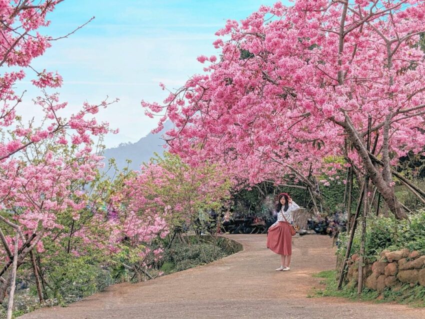 鳳凰自然教育園區