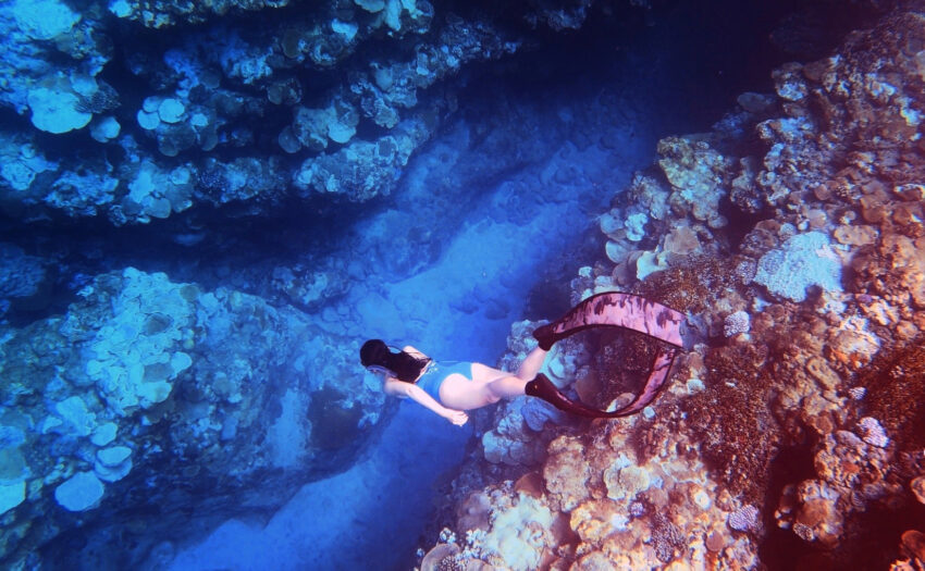 蘭嶼潛點推薦 台灣潛水景點|推薦7個自由潛水、浮潛地點,網羅北海岸、小琉球、墾丁潛水好去處 2025 台灣潛水景點|推薦7個自由潛水、浮潛地點,網羅北海岸、小琉球、墾丁潛水好去處