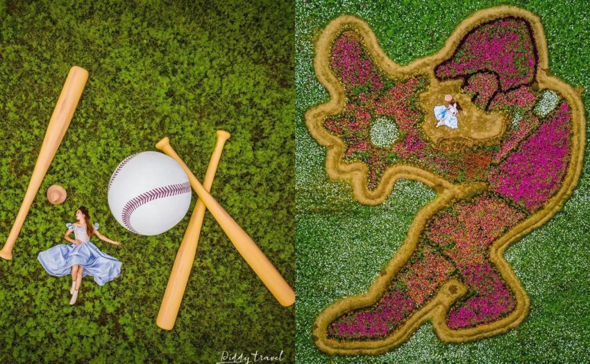 桃園花彩節 2021桃園花彩節開跑!偽出國超吸睛「巨型棒球+迷你富良野花毯」繽紛花海拍不完! 2025 2021桃園花彩節開跑!偽出國超吸睛「巨型棒球+迷你富良野花毯」繽紛花海拍不完! 1 2025