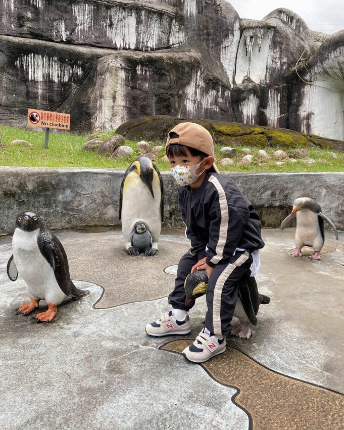 台北親子景點|台北市立動物園,可愛呆萌的大熊貓、無時無刻都在打瞌睡的無尾熊、以及走路搖搖晃晃的國王企鵝,都是園內的超人氣明星。 台北親子景點|台北市立動物園 木柵動物園 台北動物園