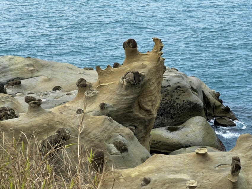 2024基隆景點推薦和平島公園，世界級秘境怎麼玩？一日遊導覽、親子玩水、手作體驗、門票預約等基隆景點懶人包 19 2024