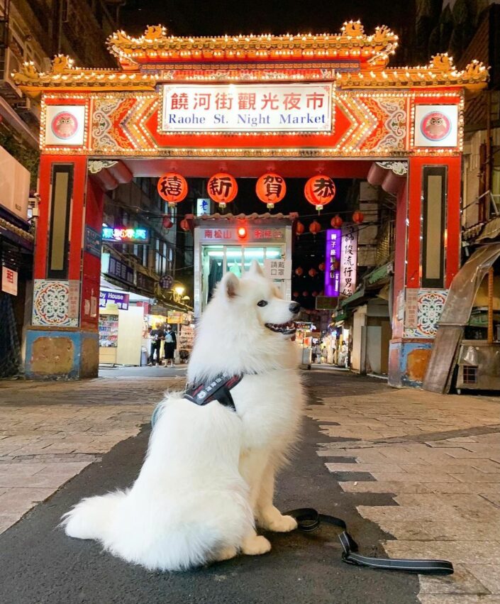 - 台北景點 台北景點|6條台北一日遊路線,玩遍室內、戶外景點|博物館、夜市、老街、廟宇之旅 2021 台北景點|松山區一日遊 饒河夜市