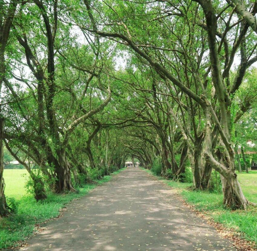 鬼月禁忌 桃園楊梅【埔心牧場】一日遊,最新門票優惠交通資訊懶人包 鬼月禁忌 2023 埔心牧場