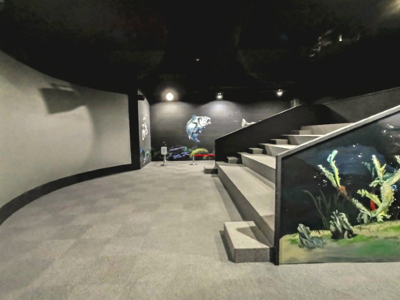 台中觀光工廠 寶熊漁樂碼頭|釣魚人的最愛、園區簡介、釣魚DIY課程、門票資訊攻略 台中觀光工廠 2022 寶熊漁樂_海洋劇場