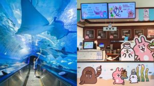 野柳海洋世界 新北野柳海洋世界|在最美北海岸親近海洋動物,精彩戶外表演【俄羅斯跳水表演秀、水族館、優惠票價、附近景點】台北景點推薦 2022 【兒童新樂園一日遊】推薦前10 名最刺激遊樂設施!暢遊門票優惠、美食交通、附近景點攻略 4 2022