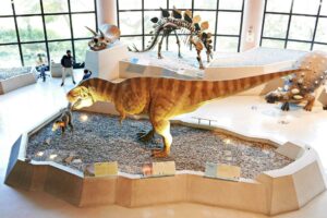 台灣氣球博物館 2022台中親子室內景點｜科博館、恐龍展、周邊美食一日遊攻略 5 2022
