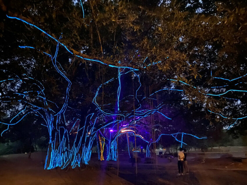 2022台灣燈會|高雄燈會|衛武營公園燈景《生命線》|高雄衛武營都會公園,有著百年成群的大榕樹,2022台灣燈會在樹枝布置無溫度的光纖條,冷色光成為一道道線條,彷彿樹木的維管束。 2022台灣燈會|高雄燈會|衛武營公園燈景《生命線》|高雄衛武營都會公園,有著百年成群的大榕樹,2022台灣燈會在樹枝布置無溫度的光纖條,冷色光成為一道道線條,彷彿樹木的維管束。