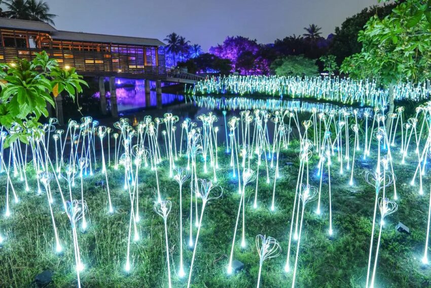 2022台灣燈會|高雄衛武營燈景《植光.花》|衛武營北湖南側湖畔,種下2500支發光的花草燈飾,湖景搭配晶瑩燈海超浪漫 2022台灣燈會|高雄衛武營燈景《植光.花》|衛武營北湖南側湖畔,種下2500支發光的花草燈飾,湖景搭配晶瑩燈海超浪漫