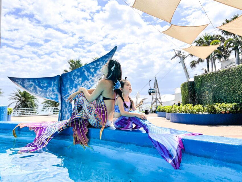 遠雄海洋公園 遠雄海洋公園《卡娜赫拉咖啡廳&美人魚體驗&海豚海獅秀&夜宿水族館&遊樂設施》門票優惠、交通攻略|花蓮親子景點 遠雄海洋公園 2022 遠雄海洋公園, 美人魚體驗