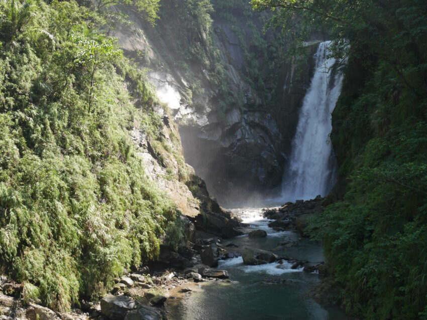 ,嘉義,阿里山,瑞里綠色隧道,太興岩步道,太平雲梯,頂石棹步道,水漾森林,眠月線,姊妹潭,逐鹿傳說梅花鹿園,二延平步道,達娜伊谷溪自然生態公園,達娜伊谷,觀音瀑布,嘉義景點,阿里山景點,秘境,嘉義秘境,阿里山秘境,