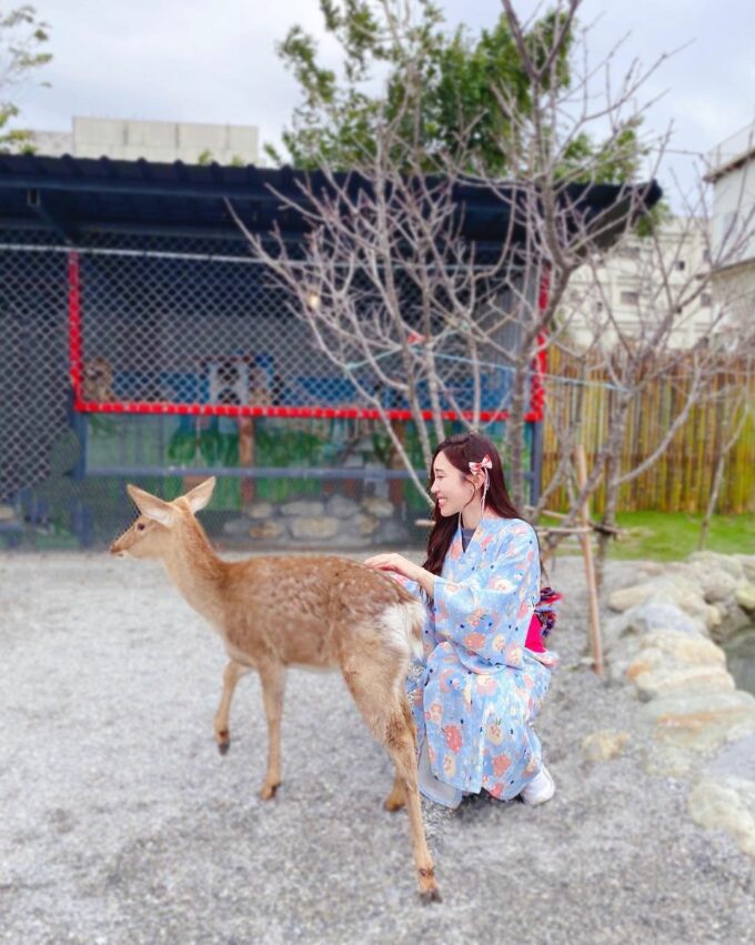 吉安景點, 花蓮吉安, 推薦, 花蓮旅遊 張家の樹園 張家樹園 鹿