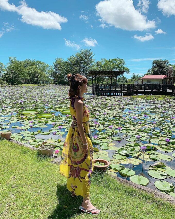 吉安景點, 花蓮吉安, 推薦, 花蓮旅遊 蓮城蓮花園 蓮花茶 蓮花