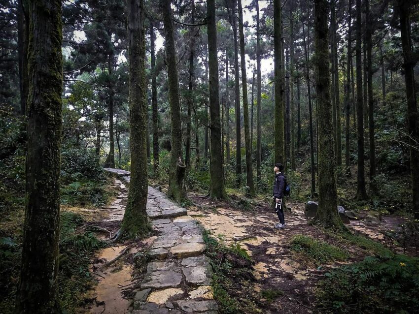 - 台北登山步道 【2022台北登山步道】推薦10條健行步道、戶外踏青首選,一起遠離塵囂森呼吸! 2022 風櫃嘴頂山石梯坪擎天崗