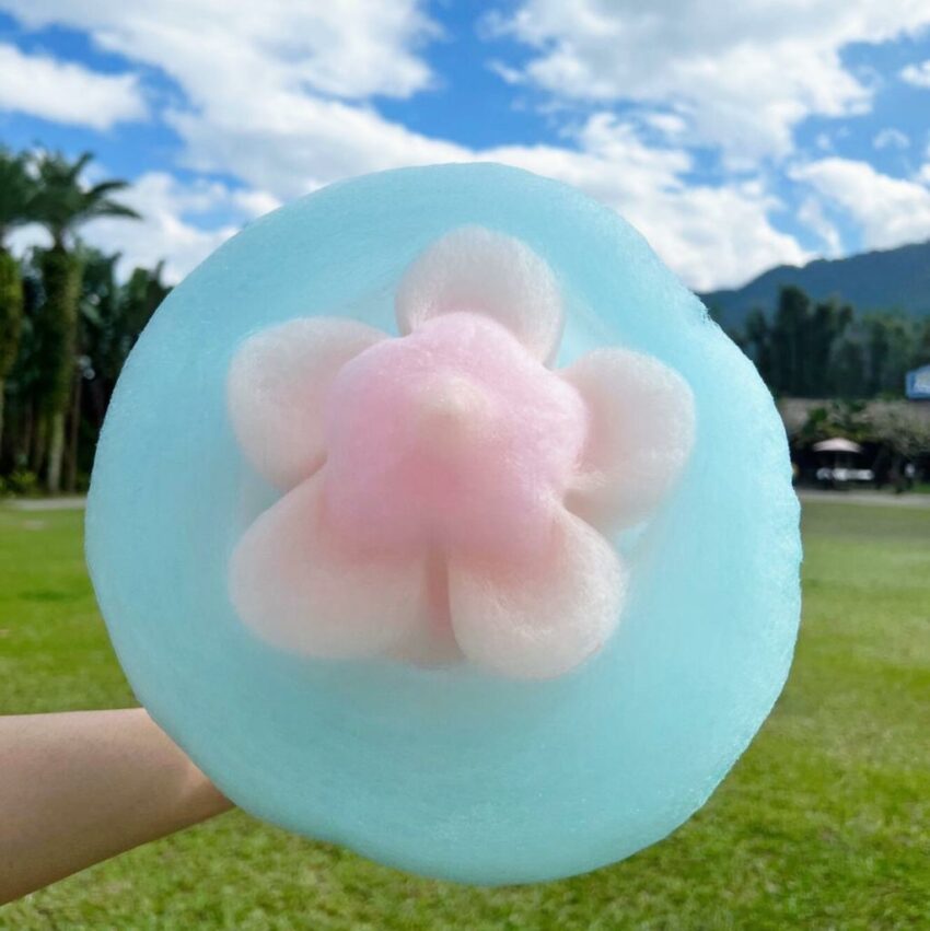 九族櫻花祭 2023九族櫻花祭｜春暖花開九族櫻花季攻略、【即時花況】賞櫻時間地點、日月潭櫻花地圖 1 2023