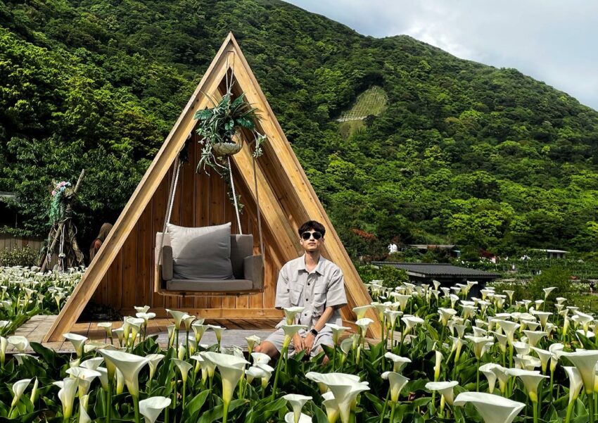 陽明山花季 【陽明山花季攻略】海芋開完繡球花接力，IG美照上山拍起來！ 9 2024