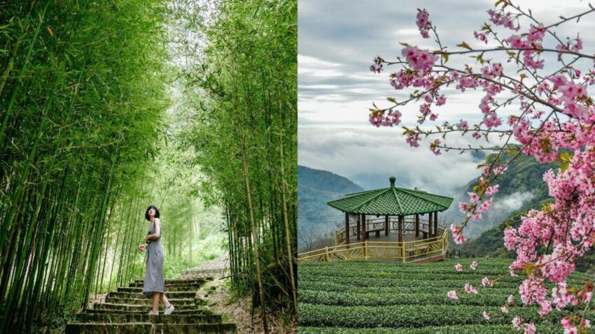 太極美地,鹿谷景點,竹山景點,茶文化館,孟宗竹林,溪頭自然教育園區,妖怪村,南投,竹山,鹿谷,瑞龍瀑布園區,竹山天梯,軟鞍八卦茶園,竹山文化園區,遊山茶訪 茶文化館,車籠埔斷層保存園區,鳳凰谷鳥園生態園區,鳳凰自然教育園區,台大茶園,麒麟潭,孟宗竹林古戰場,溪頭妖怪