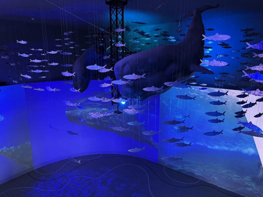 潮境智能海洋館 【基隆】潮境智能海洋館最新資訊，超大水族缸合照魟魚、水母！ 19 2022