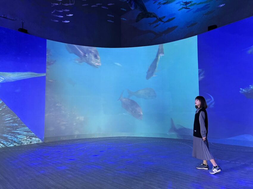 潮境智能海洋館 【基隆】潮境智能海洋館最新資訊，超大水族缸合照魟魚、水母！ 20 2022