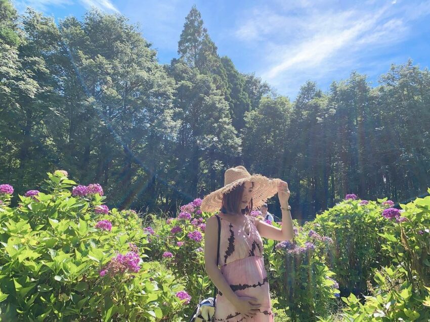 - 明池森林遊樂區 明池森林遊樂區|北橫公路上超美高山人工湖、日式庭園、千年古檜 2022 明池繡球花