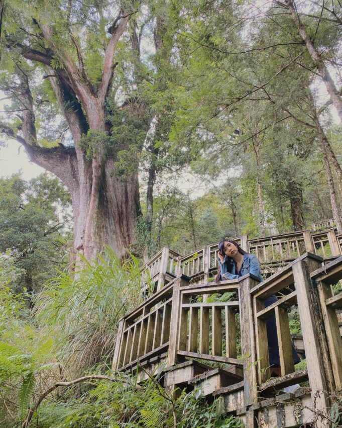 - 明池森林遊樂區 明池森林遊樂區|北橫公路上超美高山人工湖、日式庭園、千年古檜 2022 神木園