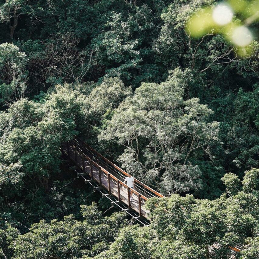 - 雙流森林遊樂區 雙流森林遊樂區 | 推薦景點、健行步道、優惠票價&交通路線攻略一次看 2022 雙流森林遊樂區 沿山步道