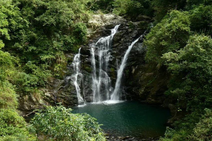 - 雙流森林遊樂區 雙流森林遊樂區 | 推薦景點、健行步道、優惠票價&交通路線攻略一次看 2022 雙流森林遊樂區 雙流瀑布