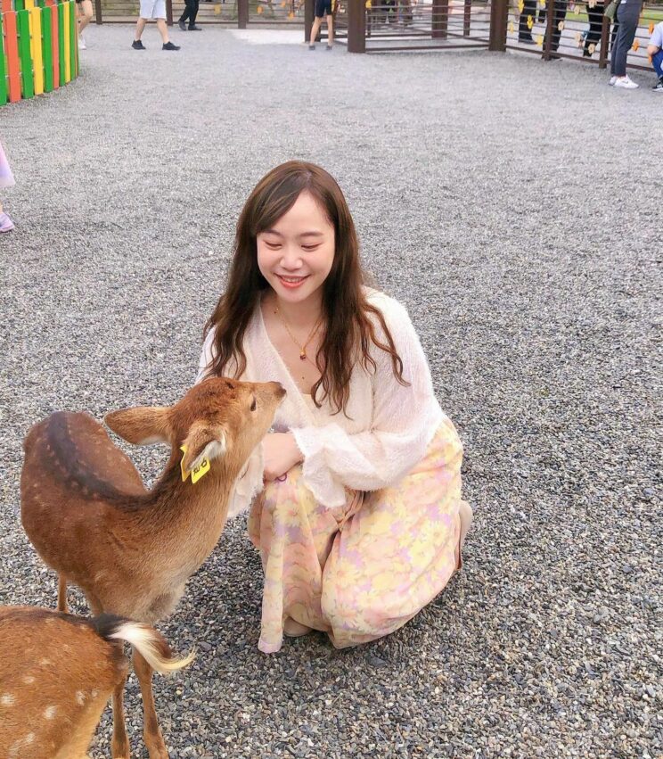 如果餵得不過癮,也可以在斑比山丘園區內加購牧草、鹿仙豆和紅蘿蔔,保證小鹿們看到,便會向你直奔而來啦!(小編偷偷說:小鹿們最愛的是紅蘿蔔) 如果餵得不過癮,也可以在斑比山丘園區內加購牧草、鹿仙豆和紅蘿蔔,保證小鹿們看到,便會向你直奔而來啦!(小編偷偷說:小鹿們最愛的是紅蘿蔔)