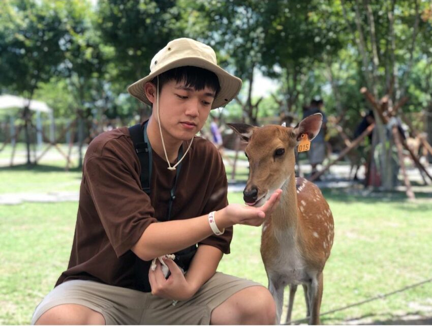 斑比山丘 | 可愛動物互動區,這裡的小鹿”家教”都很好,不但不會怕人,也不會粗魯的衝撞遊客,或是搶食遊客手上的食物,不論是大人小孩,都可以放心與牠們互動,你也可以任意觸摸小鹿們,只要控制力道輕柔的撫摸即可。 斑比山丘 | 可愛動物互動區,這裡的小鹿”家教”都很好,不但不會怕人,也不會粗魯的衝撞遊客,或是搶食遊客手上的食物,不論是大人小孩,都可以放心與牠們互動,你也可以任意觸摸小鹿們,只要控制力道輕柔的撫摸即可。