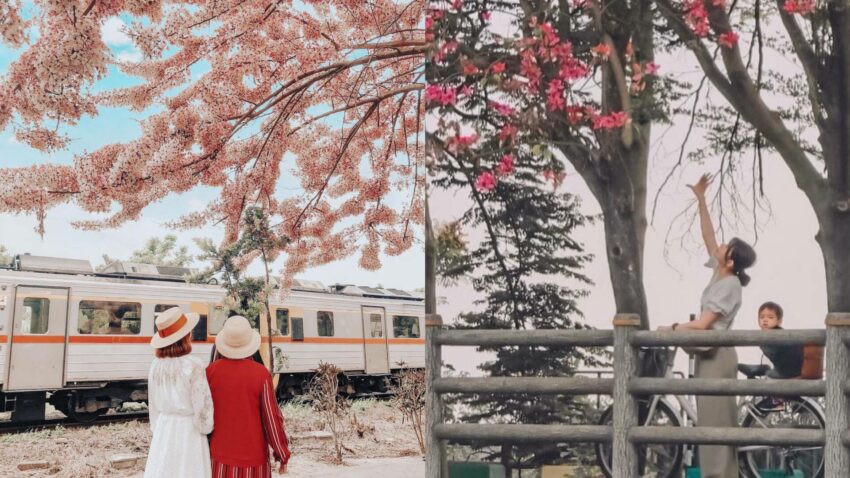 集集線騎行之旅｜3條漫遊集集線自行車道攻略，一起單車旅遊吧｜二水＆水里＆綠色隧道 1 2025