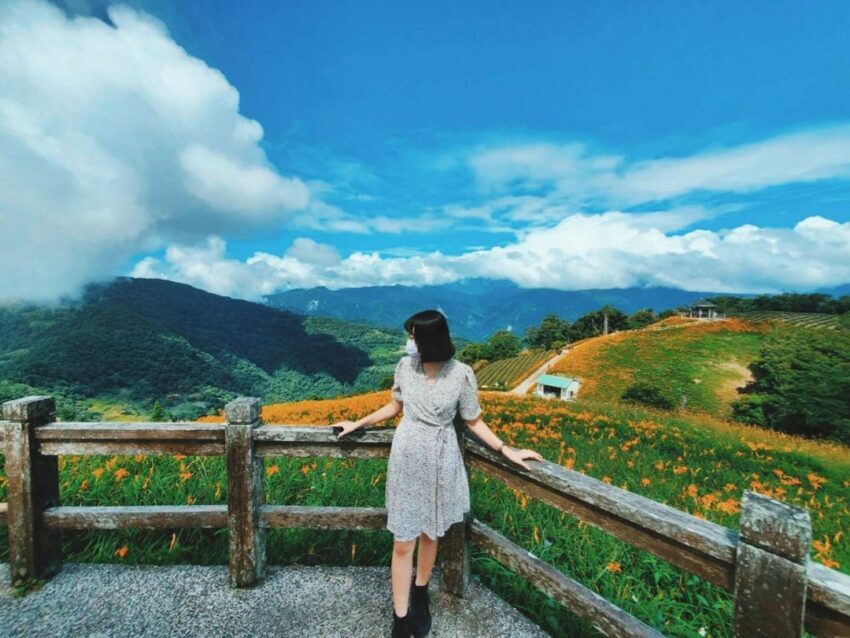 - 金針花季 2022金針花季|精選全台金針花景點TOP10,沈浸在黃澄澄夢幻金針花海吧! 2022 全台金針花 金針花 台東太麻里雙乳峰