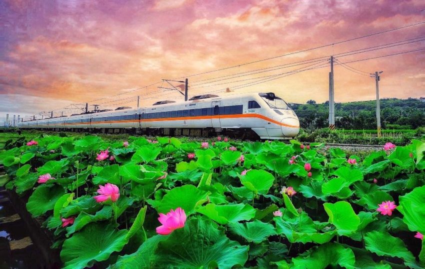  2022 全台荷花 賞荷, 荷花, 蓮花, 賞花, 秘境 苗栗通宵五南里 通宵五南里 通霄荷花 通霄火車荷花