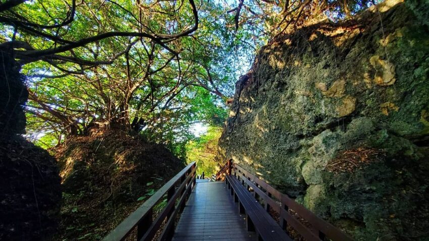 懶人露營 小琉球景點推薦|TOP13必去熱門景點,小琉球一日遊必玩行程攻略、小琉球潮間帶,玩遍琉球私房秘境、ig景點! 懶人露營 2023 小琉球景點 山豬溝