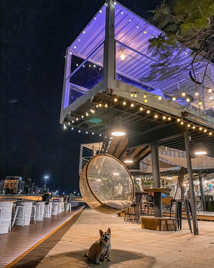 高雄夜景 白色戀人貨櫃屋