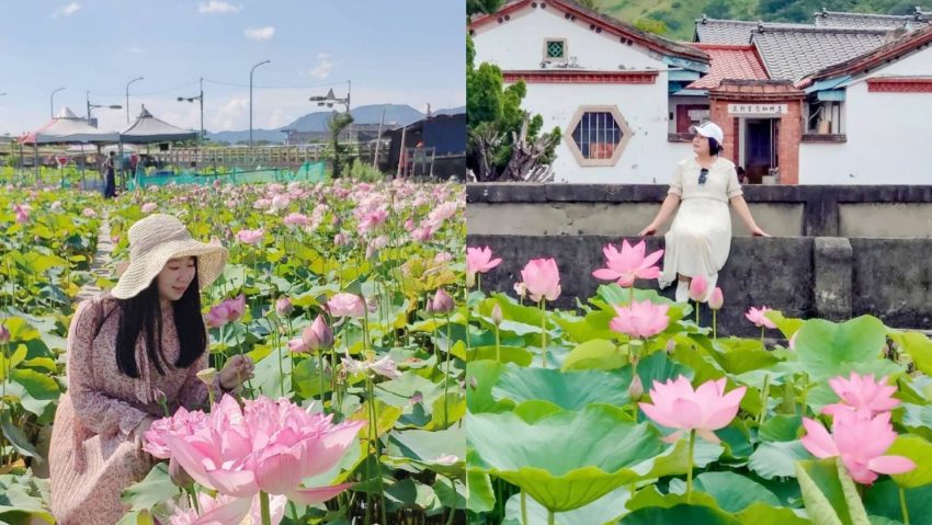 賞荷景點,南白河,北觀音,中興新村,金山清水濕地,白河蓮花公園,雙溪荷花園,全台,賞荷,賞蓮,懶人包,賞花,全台賞荷,淡水石頭厝荷花田,桃園觀音蓮花季,蓮花園休閒農業區,清水趙家古宅,苗栗通霄五南里水塘,台南白河蓮花季,蓮城蓮花園,新北,苗栗,台中,南投,花蓮,台南
