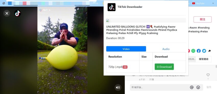 snaptik,tiktok downloader,tiktok下載,tiktok 影片下載,抖音去浮水印, DTikTok, 影片下載,mp4 下載,抖音網頁,tiktok 網頁版,抖音網頁版,抖音影片下載