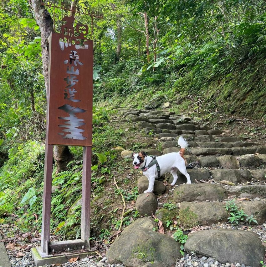 花蓮步道 鯉魚山步道